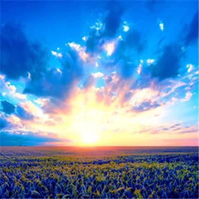 国家金融监管总局副局长周亮被查