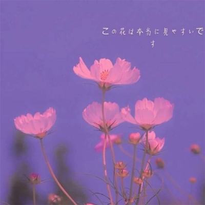 开元游戏app截图